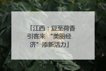 江西：夏至荷香引客来 “美丽经济”添新活力