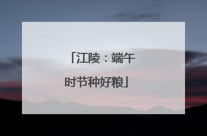 江陵：端午时节种好粮