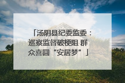 汤阴县纪委监委：巡察监督破梗阻 群众喜圆“安居梦”