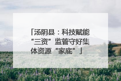 汤阴县：科技赋能“三资”监管守好集体资源“家底”