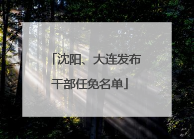 沈阳、大连发布干部任免名单