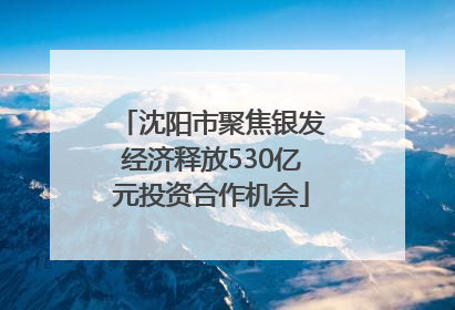 沈阳市聚焦银发经济释放530亿元投资合作机会
