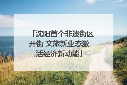沈阳首个非遗街区开街 文旅新业态激活经济新动能