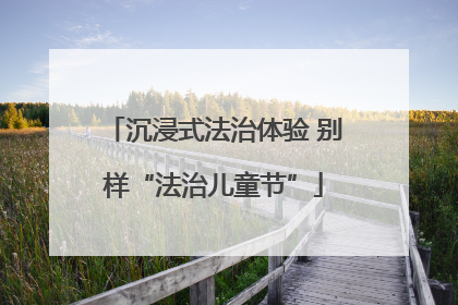 沉浸式法治体验 别样“法治儿童节”
