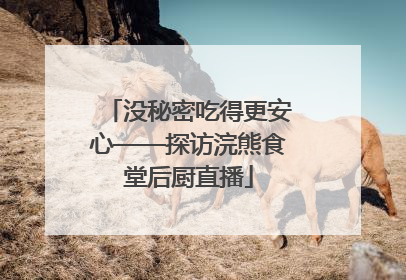 没秘密吃得更安心——探访浣熊食堂后厨直播