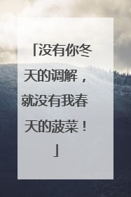没有你冬天的调解，就没有我春天的菠菜！