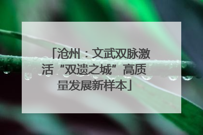 沧州：文武双脉激活“双遗之城”高质量发展新样本