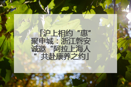 沪上相约“惠”聚申城：浙江磐安诚邀“阿拉上海人”共赴康养之约
