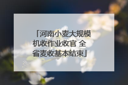 河南小麦大规模机收作业收官 全省麦收基本结束