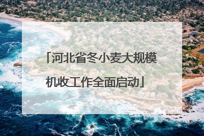 河北省冬小麦大规模机收工作全面启动