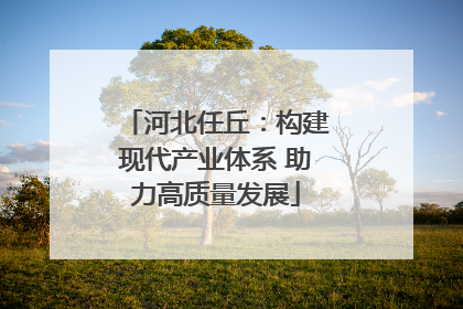 河北任丘：构建现代产业体系 助力高质量发展