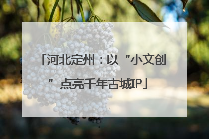河北定州：以“小文创”点亮千年古城IP