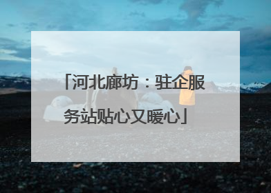 河北廊坊：驻企服务站贴心又暖心