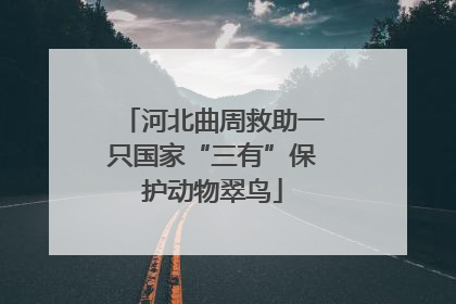 河北曲周救助一只国家“三有”保护动物翠鸟