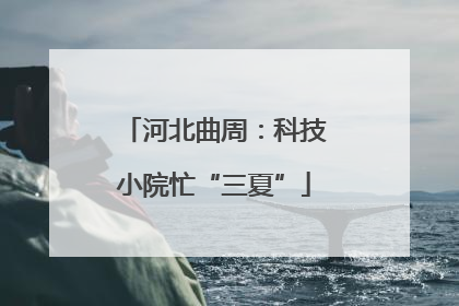 河北曲周：科技小院忙“三夏”