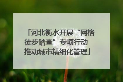 河北衡水开展“网格徒步踏查”专项行动 推动城市精细化管理