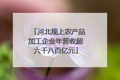 河北规上农产品加工企业年营收超六千八百亿元