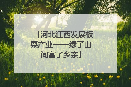 河北迁西发展板栗产业——绿了山间富了乡亲