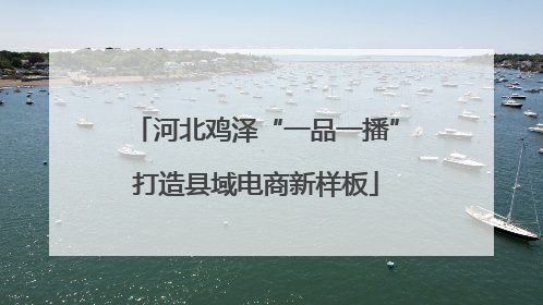 河北鸡泽“一品一播”打造县域电商新样板