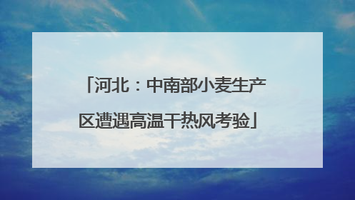 河北：中南部小麦生产区遭遇高温干热风考验