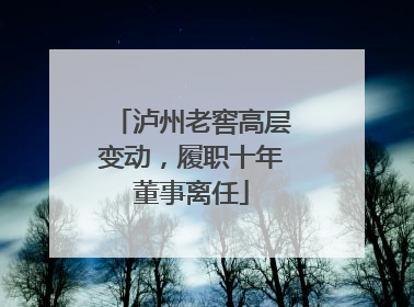 泸州老窖高层变动，履职十年董事离任
