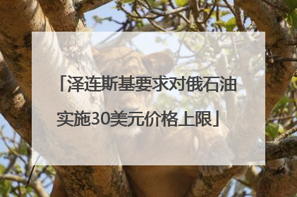 泽连斯基要求对俄石油实施30美元价格上限