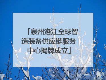 泉州洛江全球智造装备供应链服务中心揭牌成立