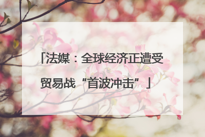 法媒：全球经济正遭受贸易战“首波冲击”