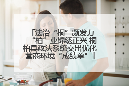 法治“桐”频发力 “柏”业锦绣正兴 桐柏县政法系统交出优化营商环境“成绩单”