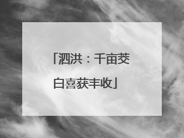 泗洪：千亩茭白喜获丰收