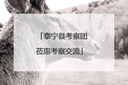 泰宁县考察团莅惠考察交流
