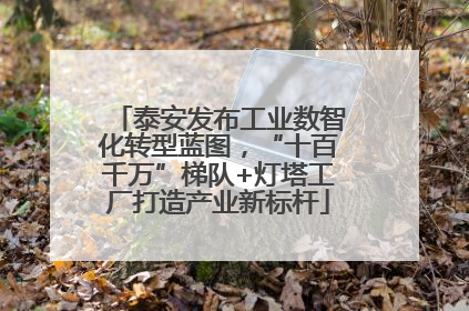 泰安发布工业数智化转型蓝图，“十百千万”梯队+灯塔工厂打造产业新标杆