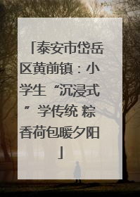 泰安市岱岳区黄前镇：小学生“沉浸式”学传统 粽香荷包暖夕阳