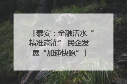 泰安：金融活水“精准滴灌” 民企发展“加速快跑”