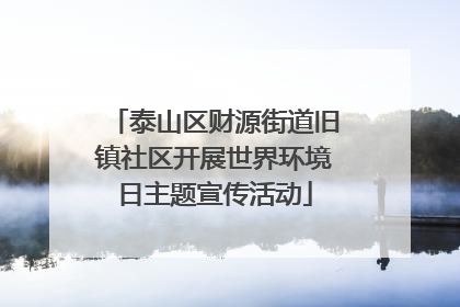 泰山区财源街道旧镇社区开展世界环境日主题宣传活动
