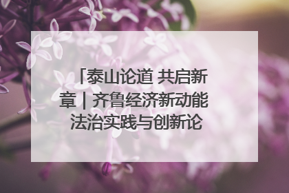 泰山论道 共启新章|齐鲁经济新动能 法治实践与创新论坛成功举办