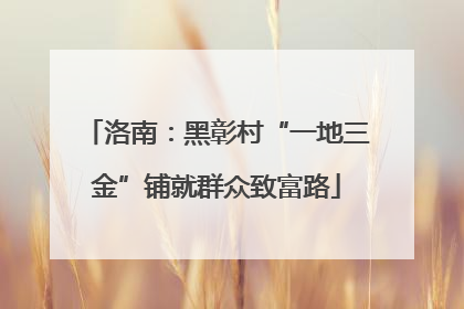 洛南：黑彰村“一地三金”铺就群众致富路