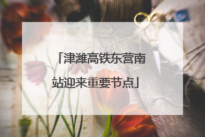 津潍高铁东营南站迎来重要节点