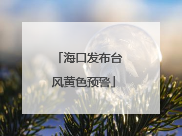海口发布台风黄色预警
