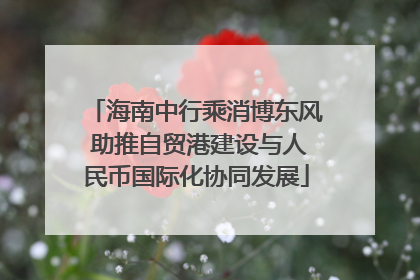 海南中行乘消博东风 助推自贸港建设与人民币国际化协同发展