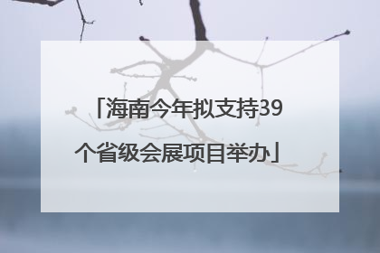 海南今年拟支持39个省级会展项目举办