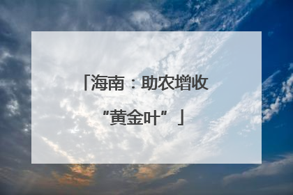 海南：助农增收 “黄金叶”