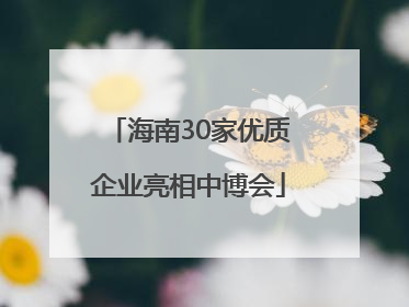 海南30家优质企业亮相中博会