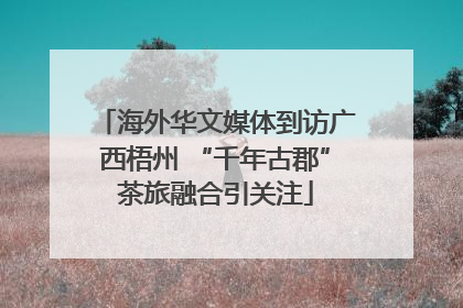 海外华文媒体到访广西梧州 “千年古郡”茶旅融合引关注