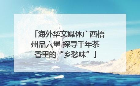 海外华文媒体广西梧州品六堡 探寻千年茶香里的“乡愁味”