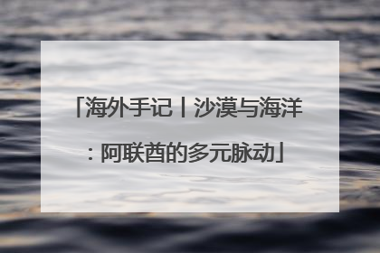 海外手记丨沙漠与海洋：阿联酋的多元脉动