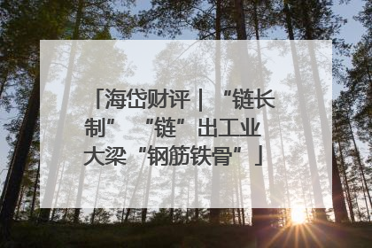 海岱财评｜“链长制” “链”出工业大梁“钢筋铁骨”