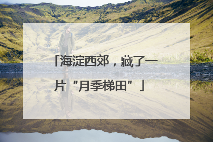 海淀西郊，藏了一片“月季梯田”
