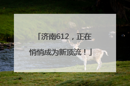 济南612，正在悄悄成为新顶流！