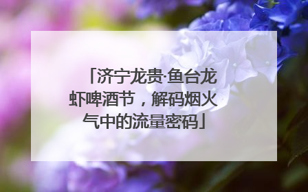 济宁龙贵·鱼台龙虾啤酒节，解码烟火气中的流量密码